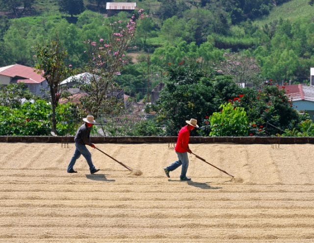 Conoce cuántas familias de Choluteca, Valle y El Paraíso, serán afectadas con cierre de empresa