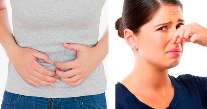 Seis curiosidades sobre las flatulencias