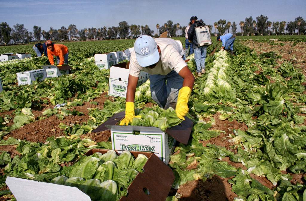 Gobierno intensifica esfuerzos en USA, en busca de oportunidades de empleo para hondureños