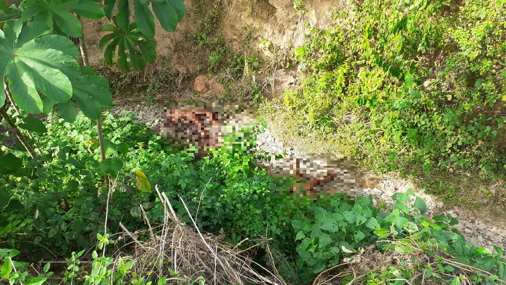 Imagen de Dantesco: decapitadas y mutiladas dejaron a dos mujeres en El Progreso, Yoro