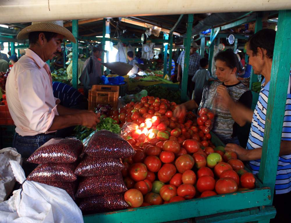 Se mantienen los precios de la canasta básica en las ferias de Tegucigalpa