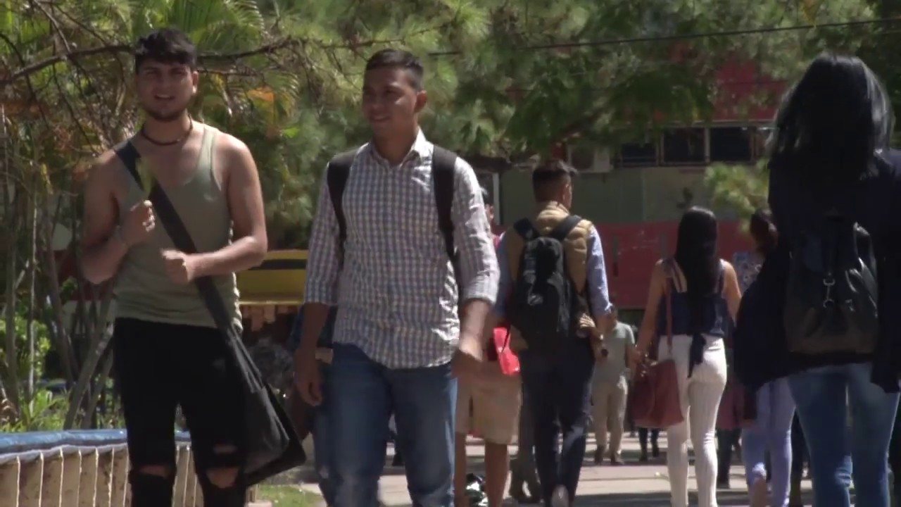 Conoce cuántas licenciaturas, maestrías y  doctorados ofrecen universidades privadas en Honduras