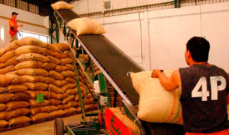 Más de 900 millones de dólares cerrará este año las exportaciones de café