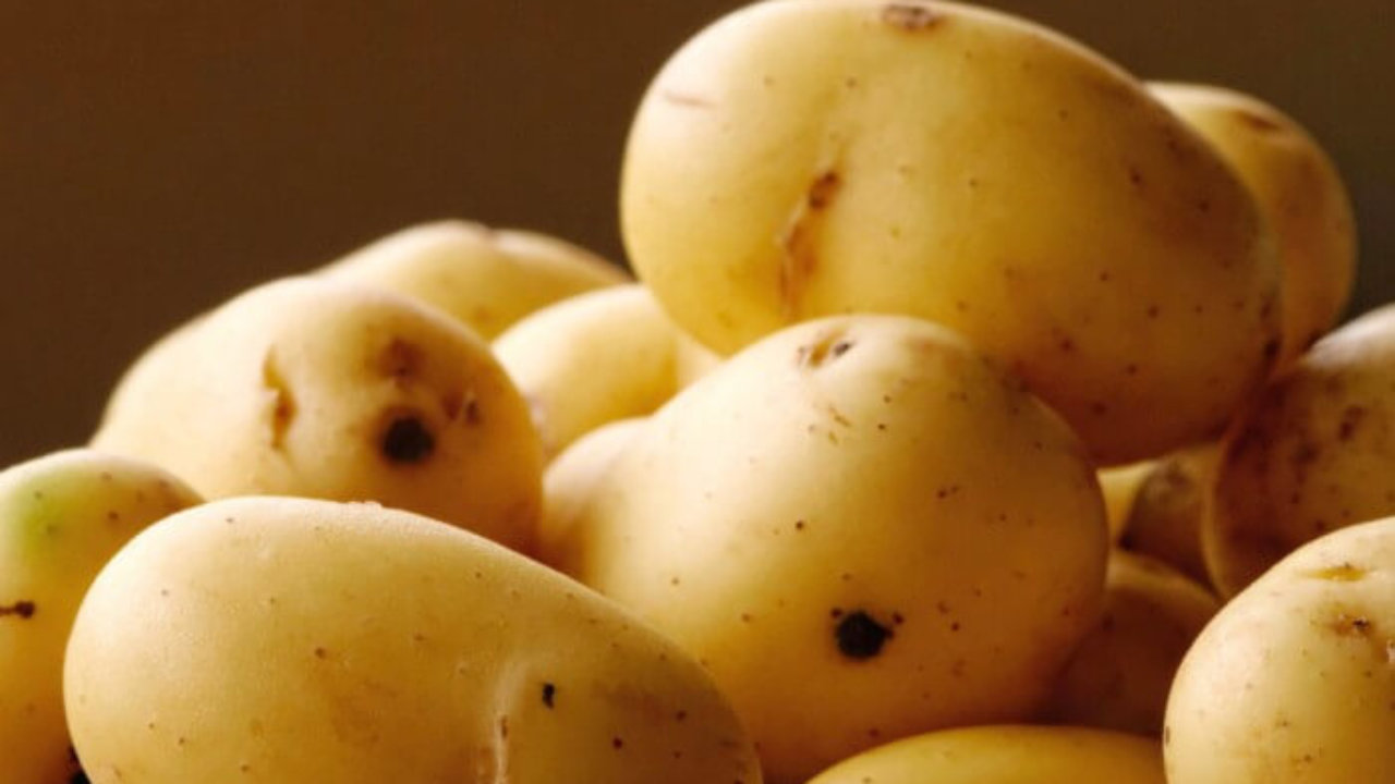 Aumenta el precio de los frijoles en la capital