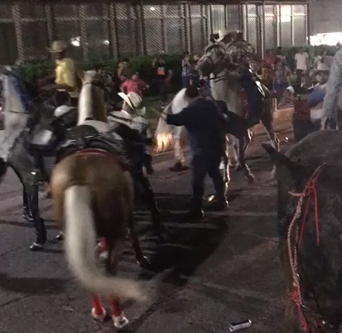 VIDEO ¡Al estilo del viejo oeste! Con puñetazos, finalizó desfile hípico en Choluteca