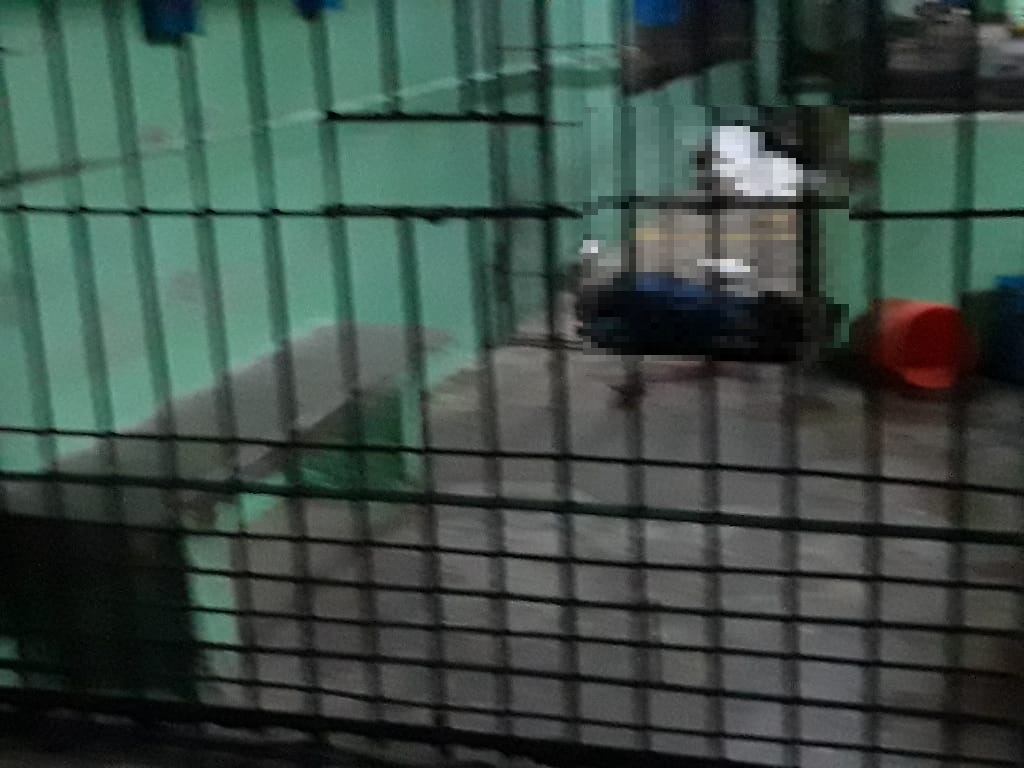 Identifican a los privados de libertad asesinados en la cárcel de Tela, Honduras
