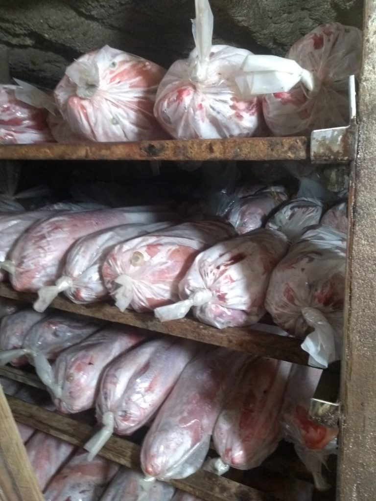 Embarcación dominicana 