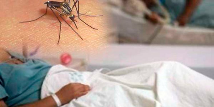 Más de 300 personas han muerto por la epidemia del dengue en Honduras