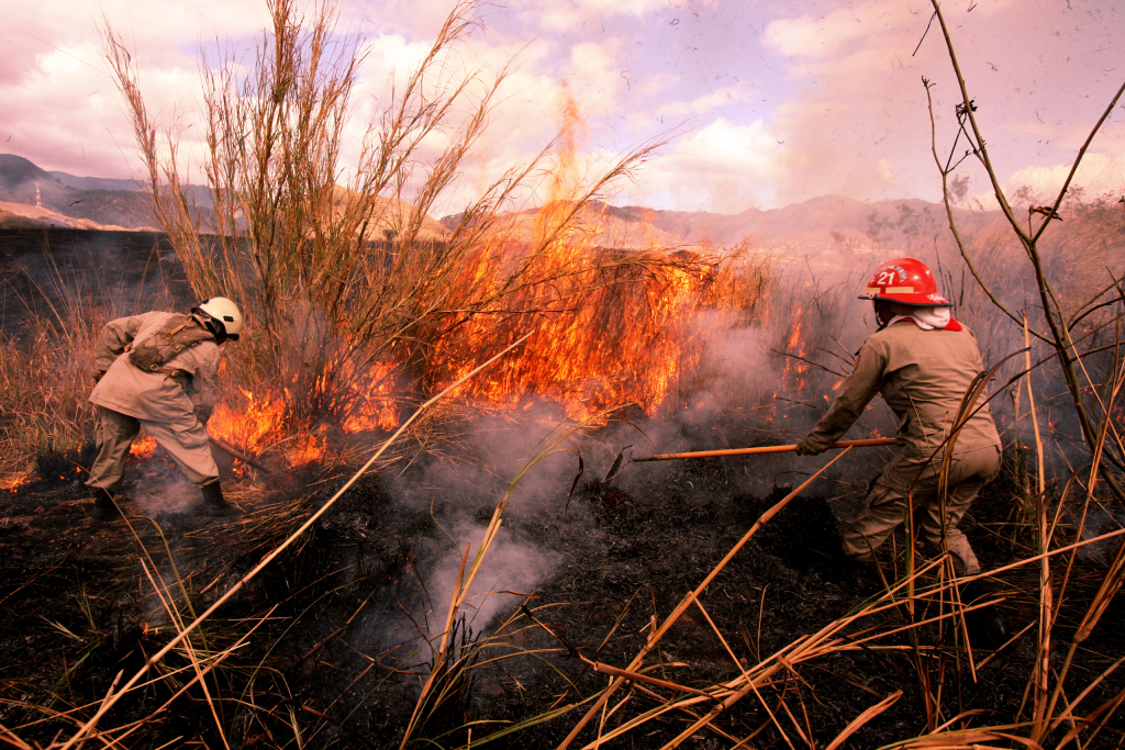 Incendios en Honduras han consumido más de 71 mil hectáreas de bosque