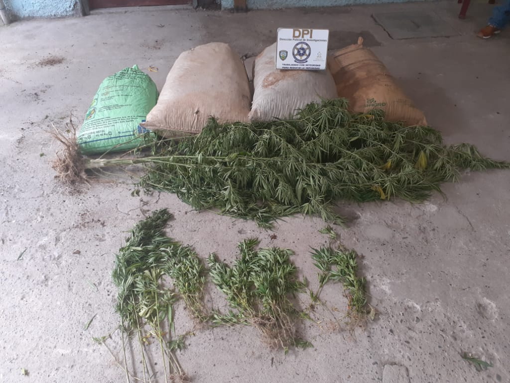Arrestan a hondureño en posesión de cinco sacos conteniendo supuesta marihuana