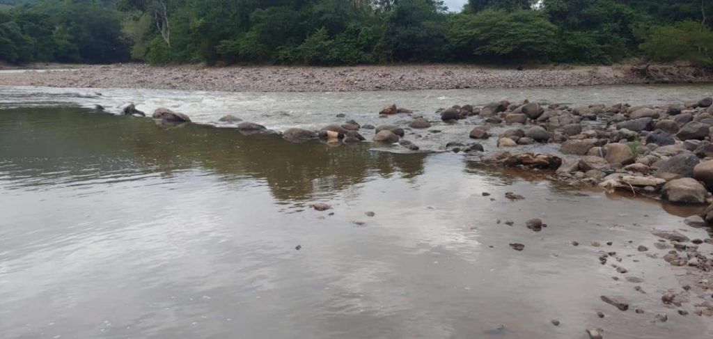 Imagen de cuerpo de nota