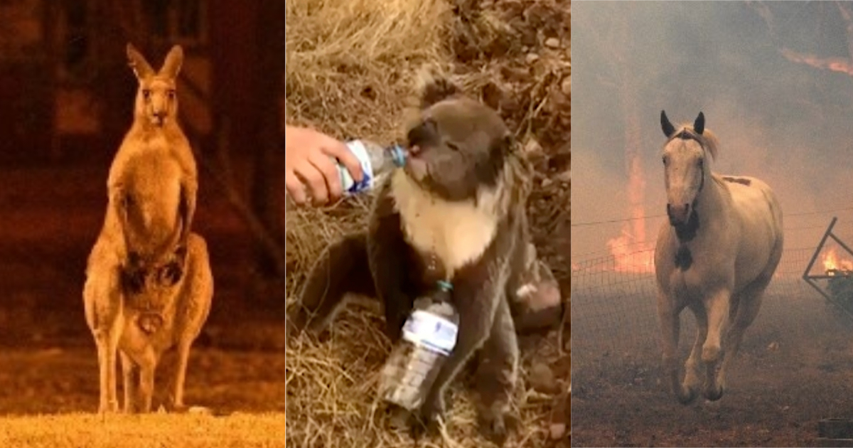 Imagen de cuerpo de nota