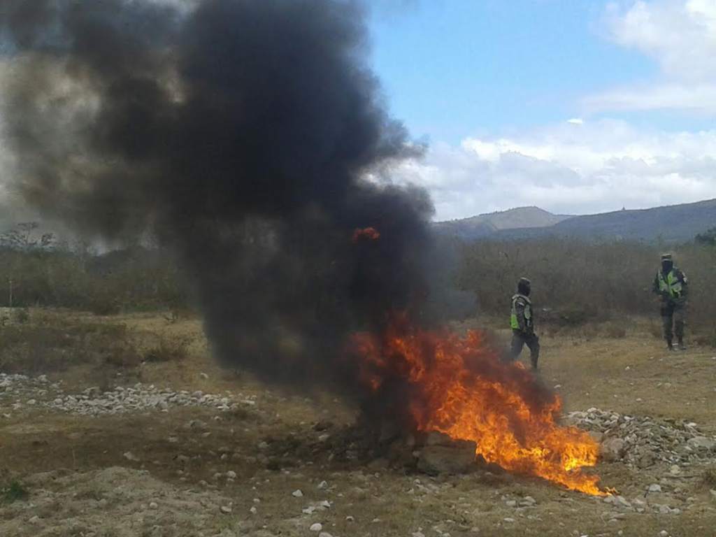 Incinerarán 719 kilos de cocaína y 900 libras de marihuana incautados en Gracias a Dios, Colón, Yoro y FM