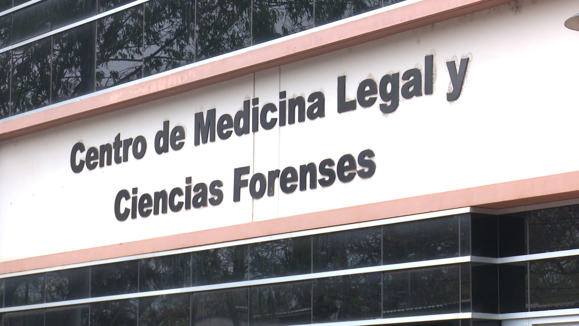 Siete cuerpos ingresan a Medicina Forense en las últimas horas en la capital de Honduras