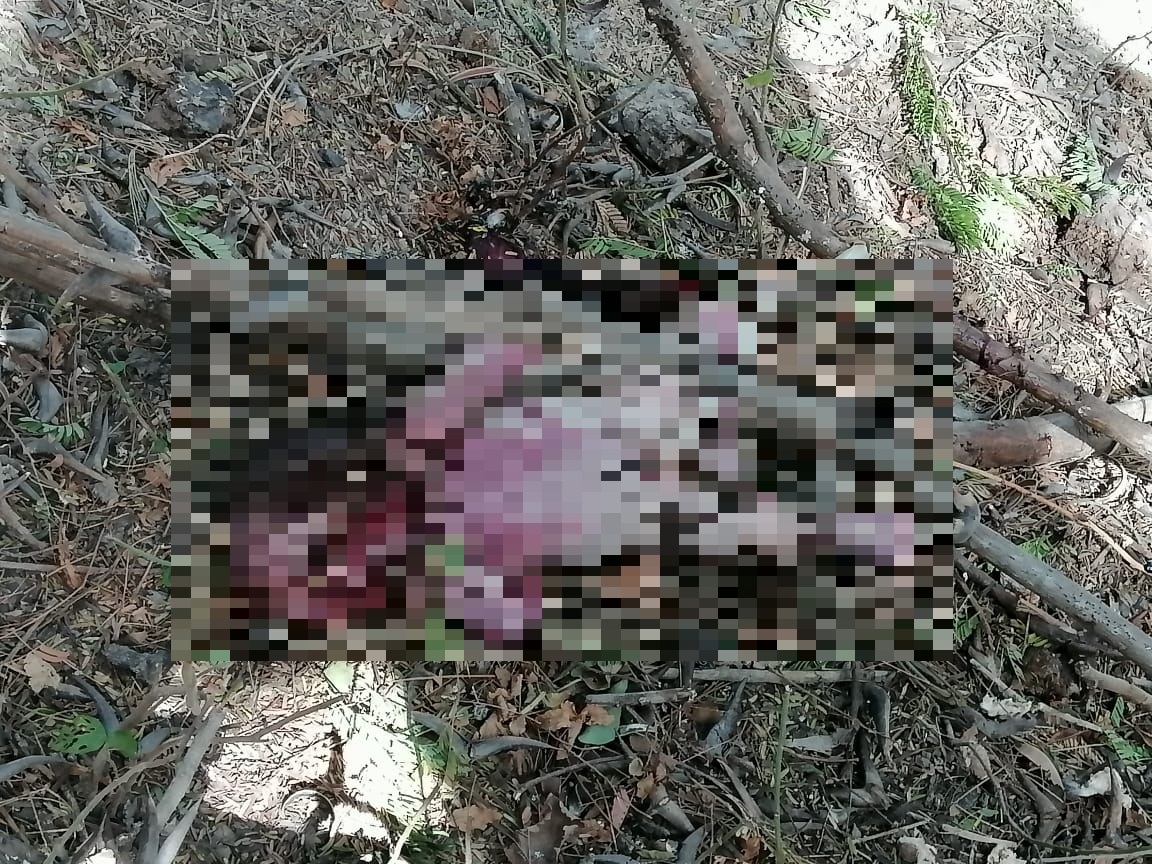 Encuentran feto en un solar baldío de San Lorenzo, Valle