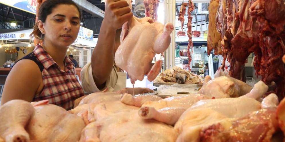 Aumenta la libra de pollo en Honduras ¿Cuánto?