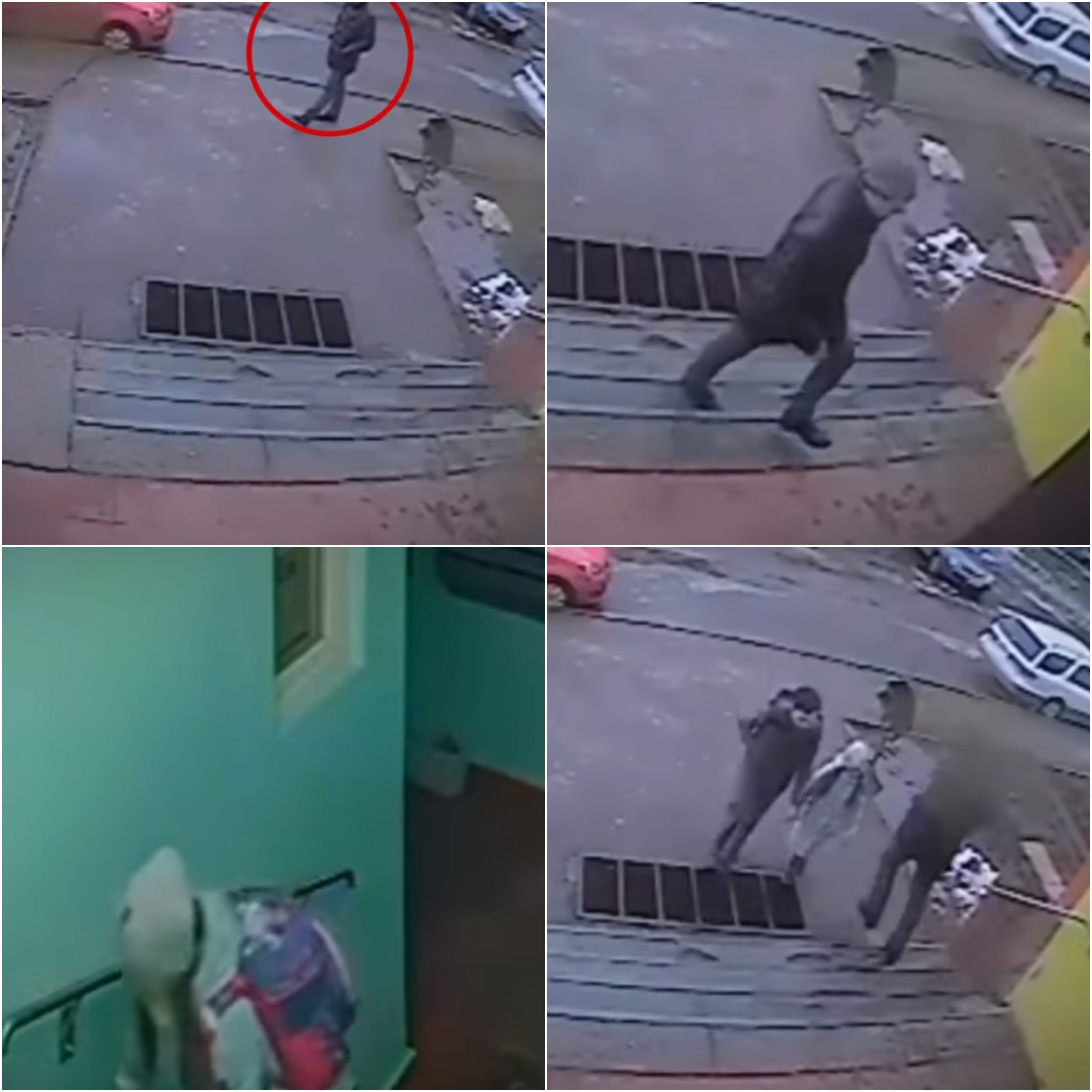 Niña de 9 años evitó que un hombre la secuestrara ¡Mira lo que hizo!
