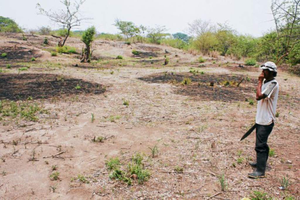 Emergencia y catástrofe climática