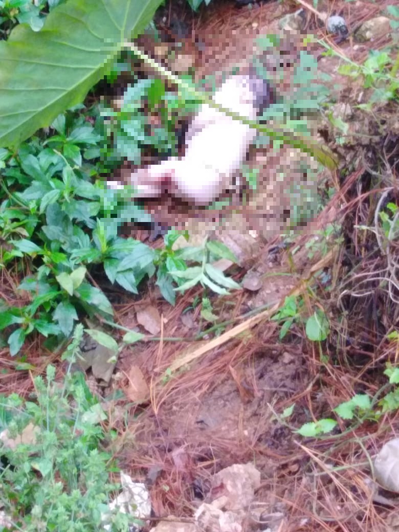 Madre lanza a su recién nacida en un sector baldío en  Valle de Ángeles