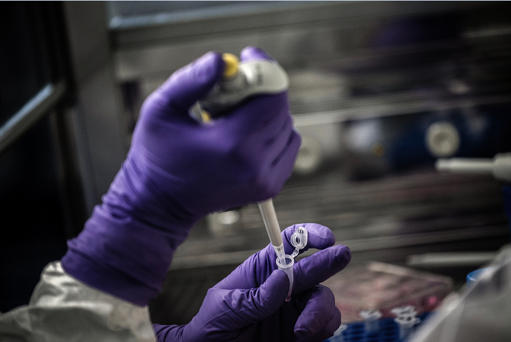 Un laboratorio francés busca entre medicamentos existentes un tratamiento contra el coronavirus