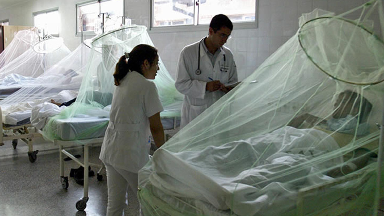 Seis nuevas muertes registra el país en lo que va de 2020 por dengue grave