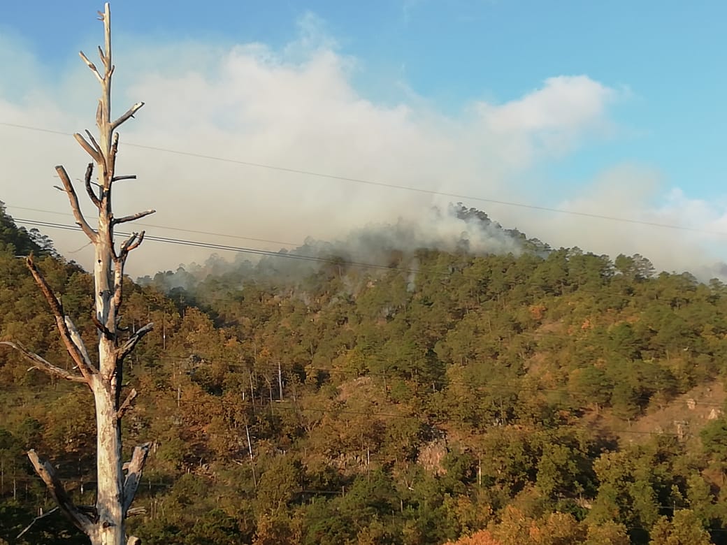 Combaten incendio forestal en la montaña de Upare, zona Centro