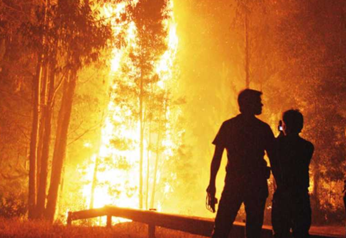 Unos 14 hondureños enfrentan la justicia por provocar incendios forestales