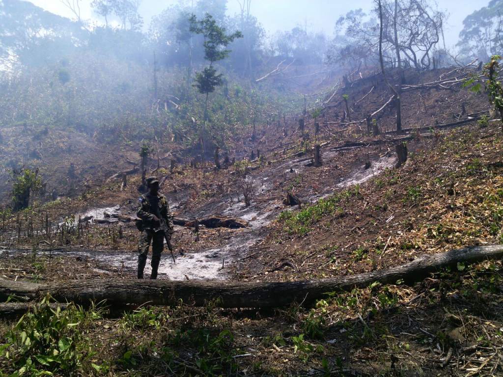 17 incendios forestales con 120 hectáreas de bosque afectadas se registran en el país