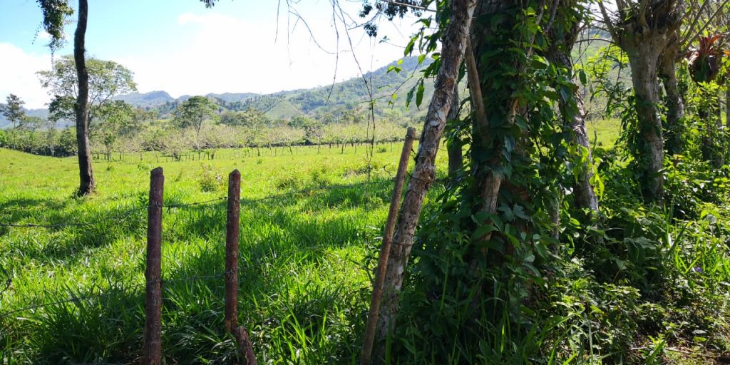 Lote de terreno incautado en Tegucigalpa.