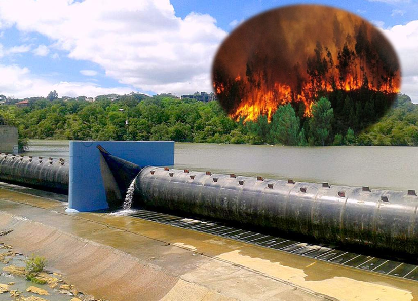 Imagen de Incendios están dejando sin agua las represas de Tegucigalpa