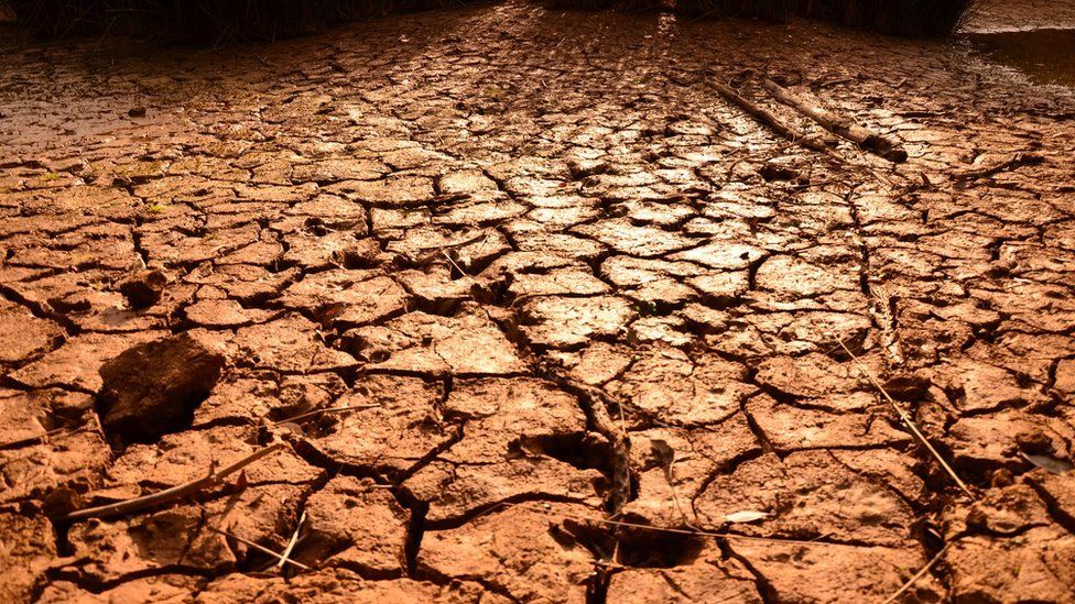 La zona sur y La Mosquitia serán más castigadas por "severa" sequía en 2020