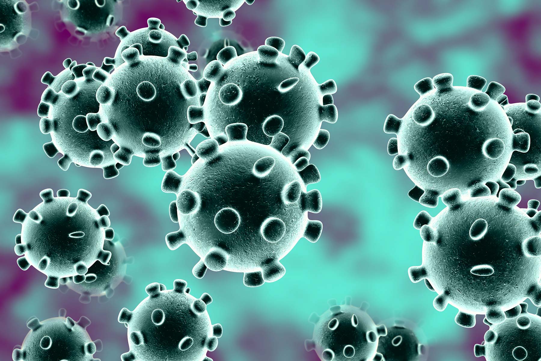 La Organización Mundial de la Salud da nombre al nuevo coronavirus ¿Desde ahora cómo se llamará?