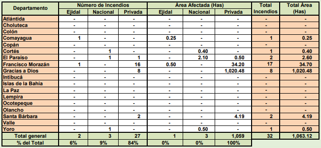Más de mil hectáreas de bosque consumidas en 32 incendios en lo que va del año en Honduras