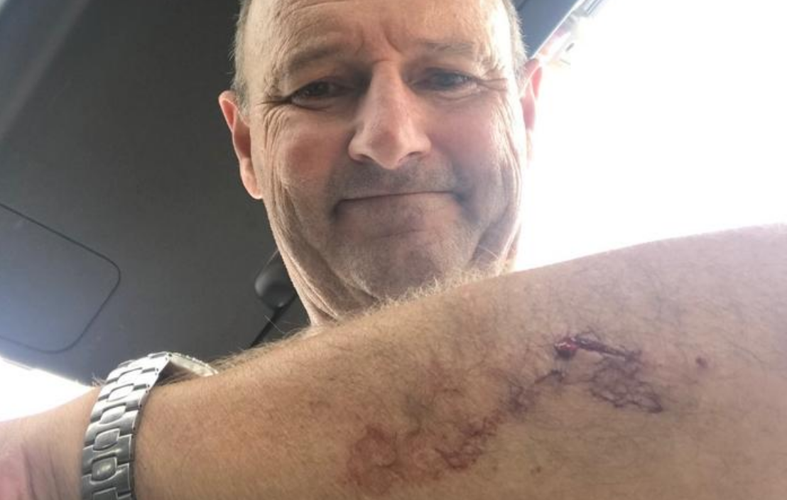 Imagen de cuerpo de nota