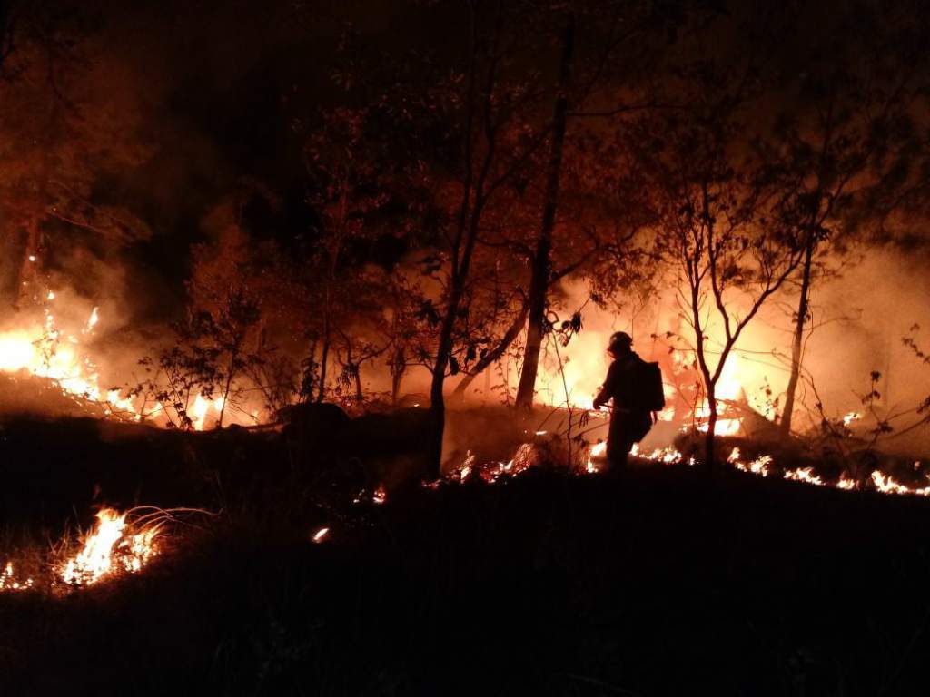Penas de hasta 12 años de cárcel por provocar incendios forestales en Honduras