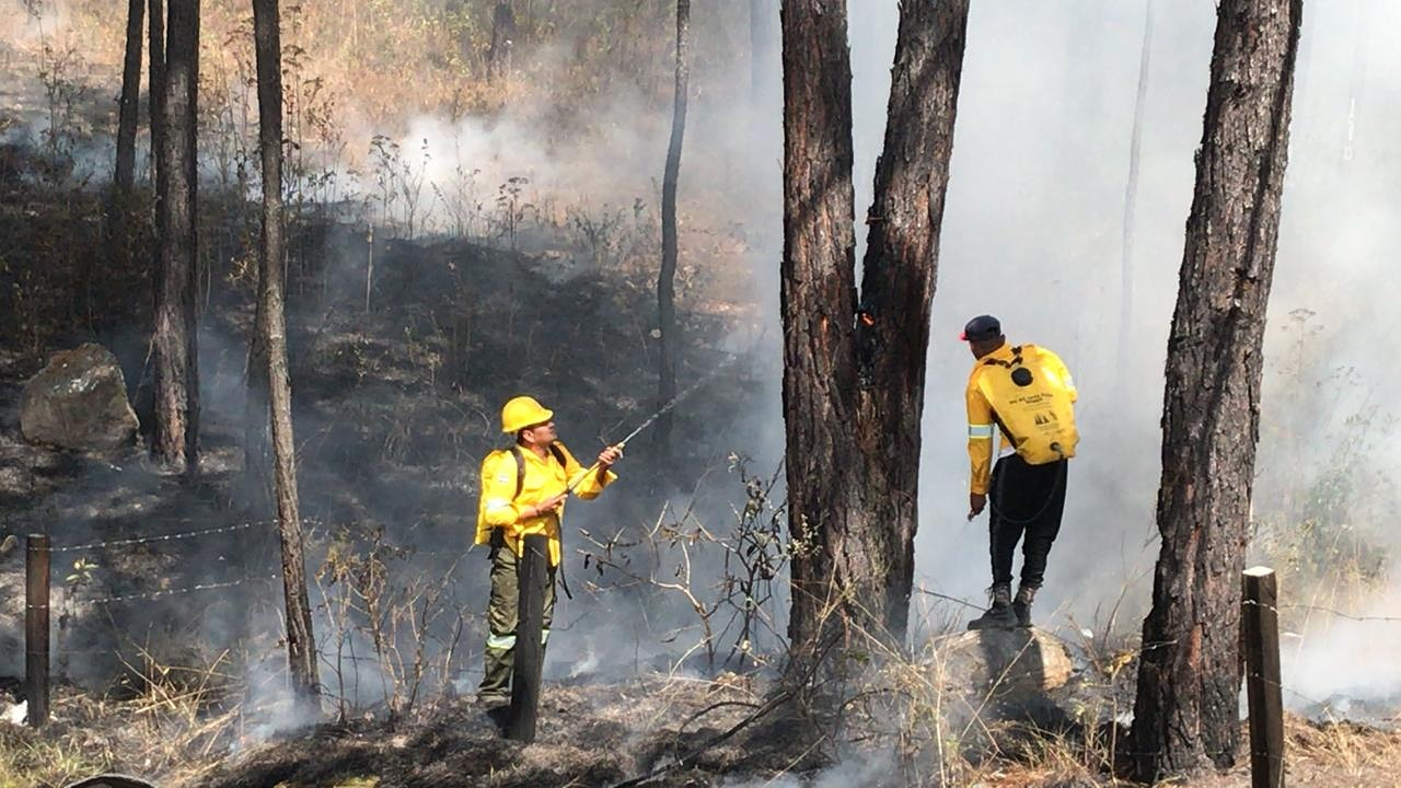 Incendios consumen más de 2.500 hectáreas de bosque en Honduras