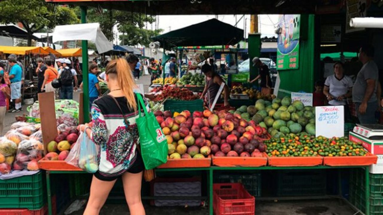 Colegio de Economistas propone subsidiar canasta básica a 5.7 millones de hondureños