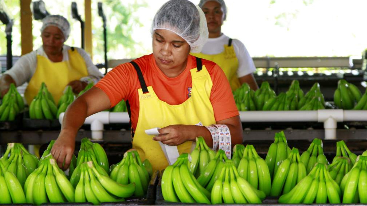 Honduras ya ve los efectos en su economía por el coronavirus: Wilfredo Cerrato