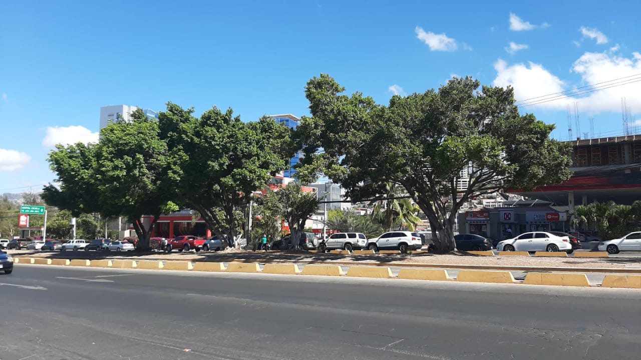 Imagen de cuerpo de nota