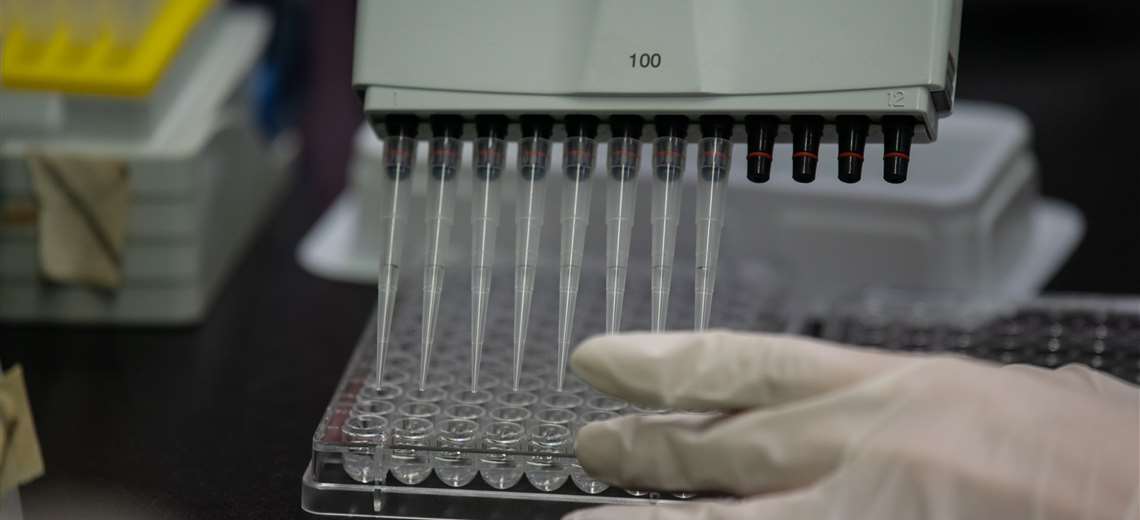 Rusia anuncia ensayo en animales de vacuna contra el coronavirus