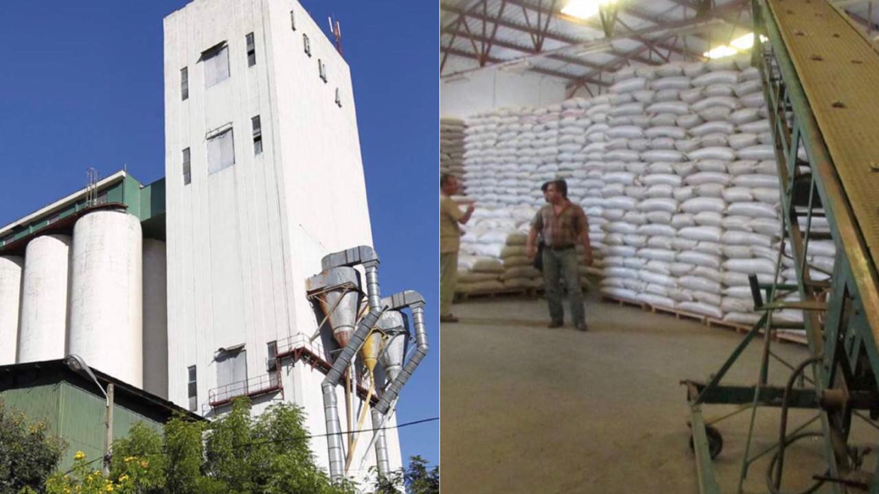Descartan aumento en el precio del arroz y futura importación