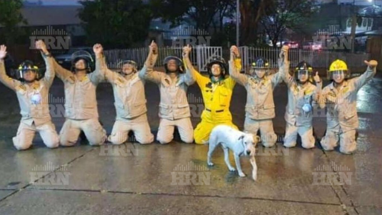 De rodillas y con sus manos extendidas hacia cielo, bomberos agradecen a Dios por la lluvia