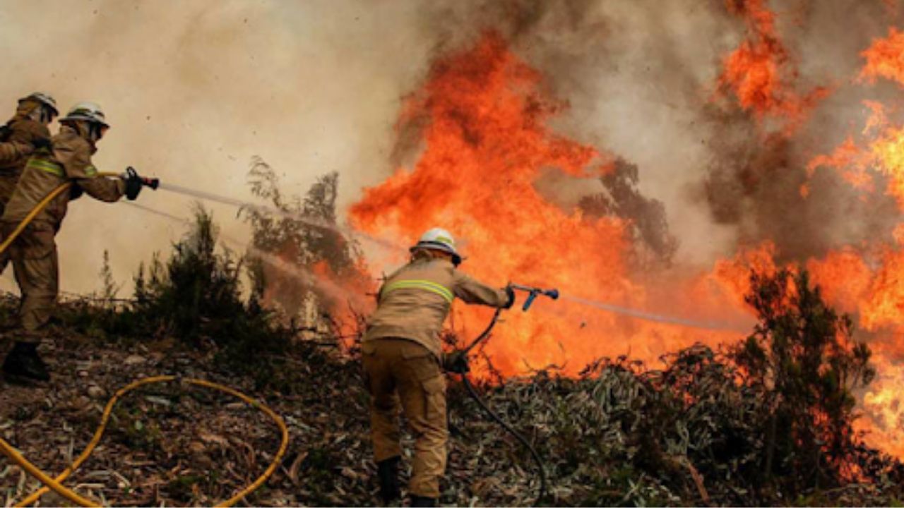 Cuerpo de Bomberos de Honduras reporta más de 2 mil denuncias de incendios a nivel nacional
