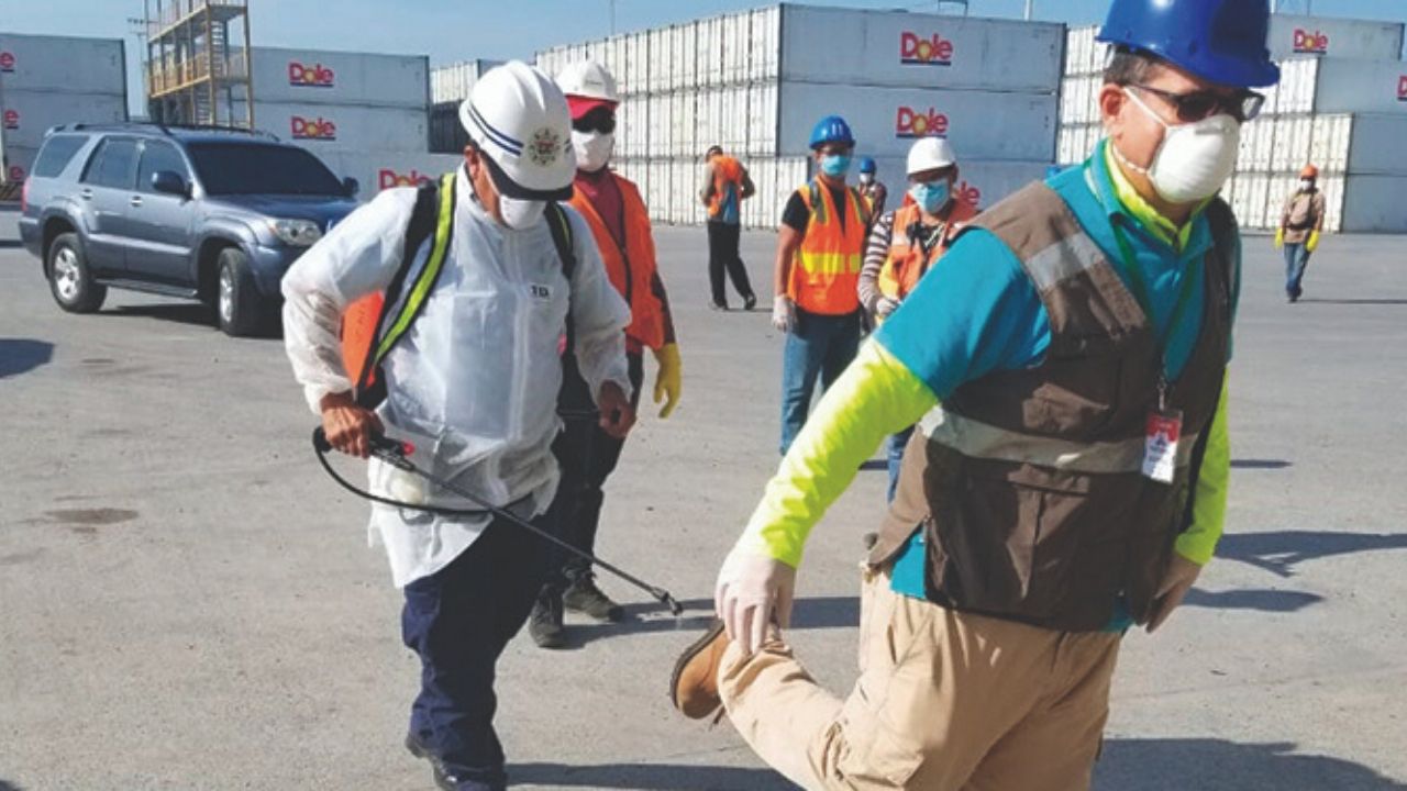 Coronavirus: Marinos hondureños dan negativo en segunda prueba, en la primera 27 dieron positivo