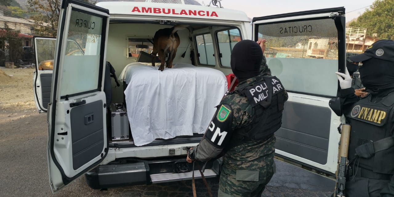 Imagen de cuerpo de nota