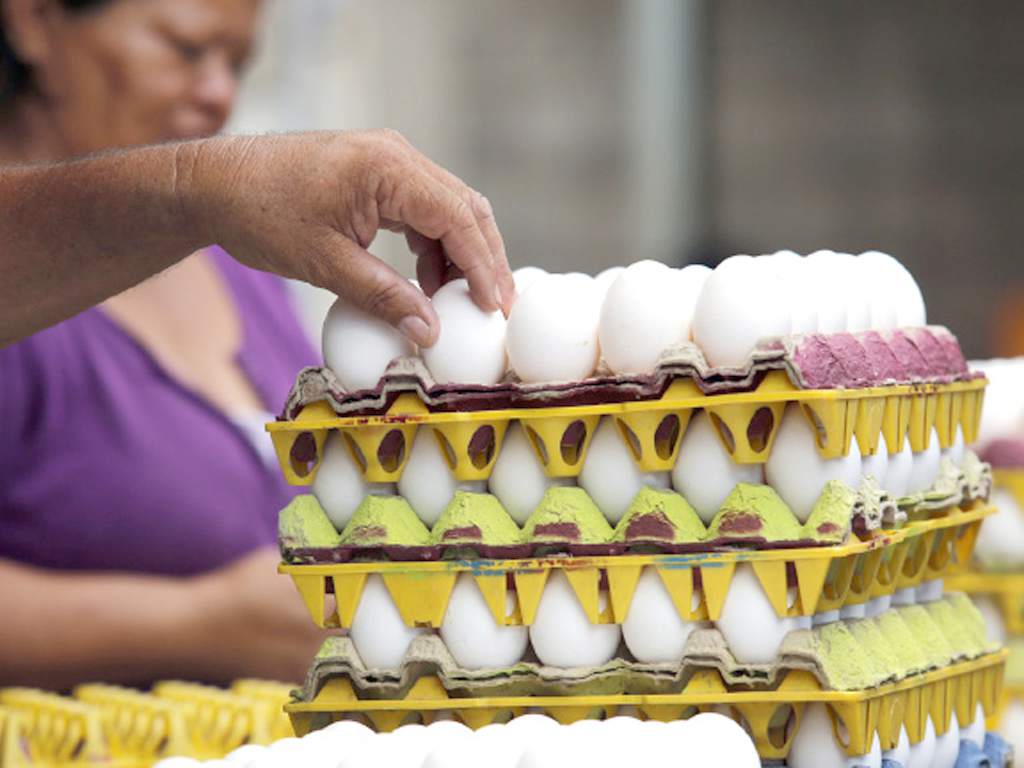 En 40% caen las ventas de huevo y carne de pollo en Honduras
