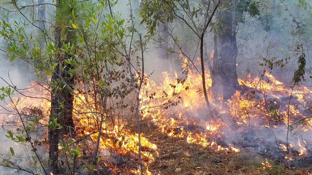 El 30% de los incendios registrados a nivel nacional son en el Distrito Central