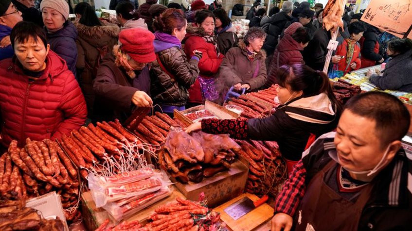 Coronavirus: Prohíben el consumo de perros y gatos en China tras pandemia de covid-19