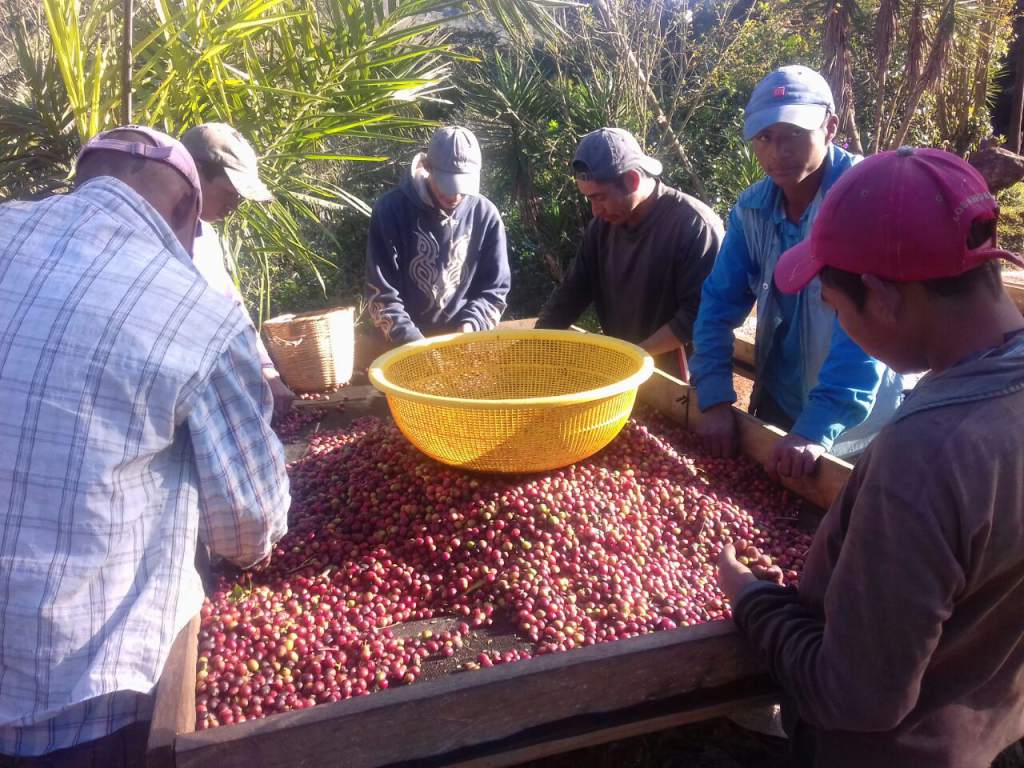 Estos son los requisitos para que productores independientes gocen del salvoconducto para circular en el país