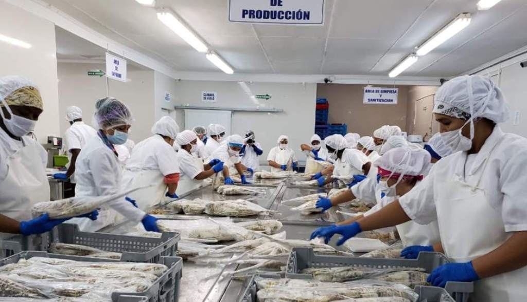 Empresarios exhortan al gobierno de Honduras a lanzar una tabla de salvación para la gran empresa